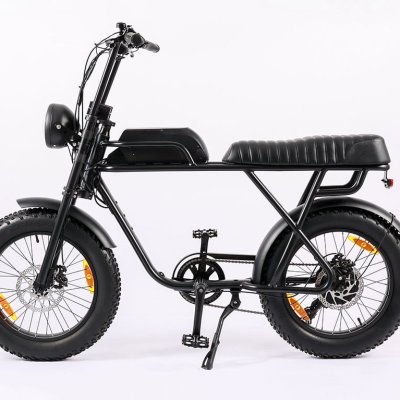 20 inç super13 yağ lastikli ebike